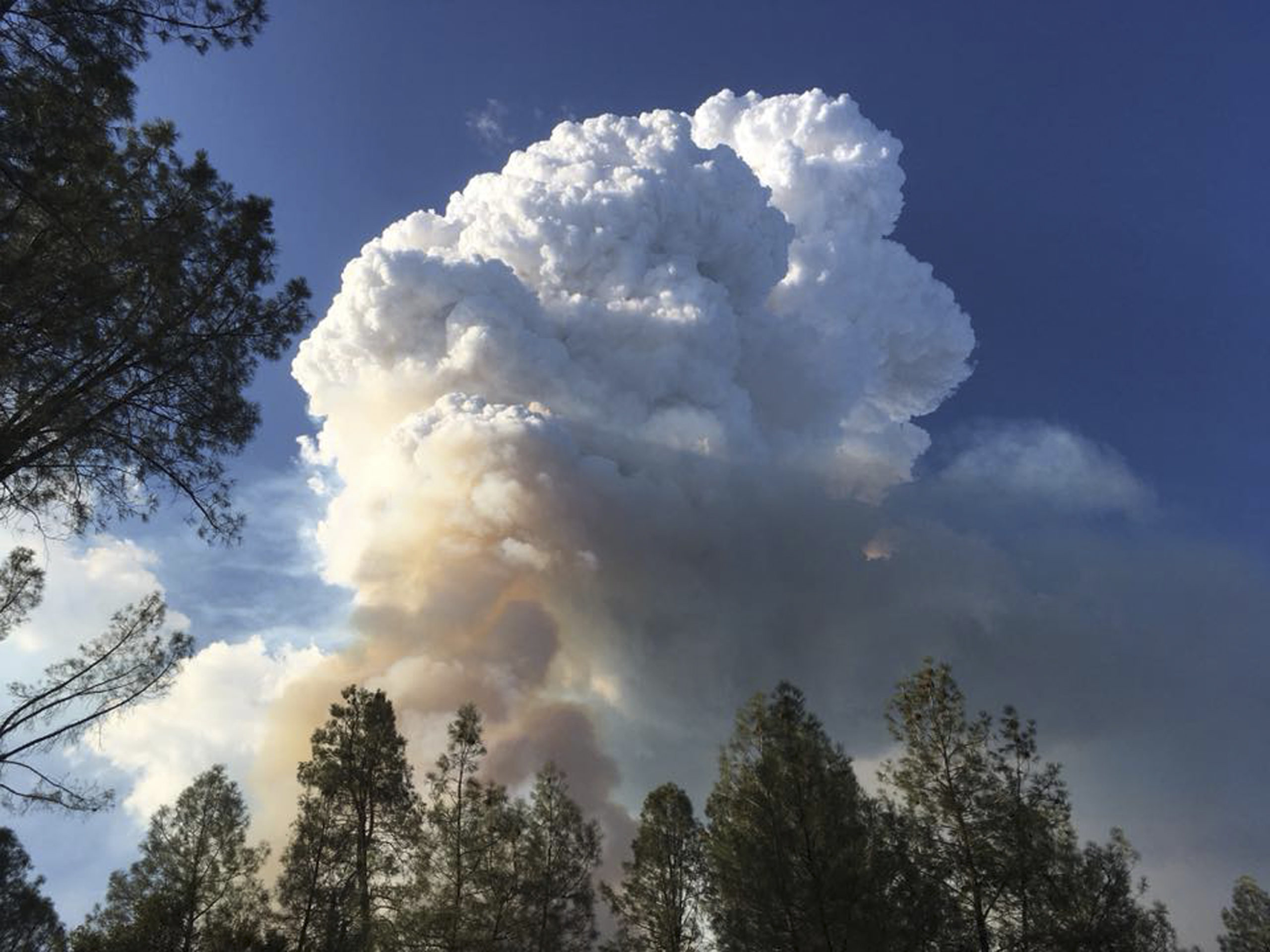 Photo of wildfire in Redding, California area