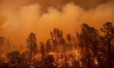 Photo of the Carr Fire in Redding, California