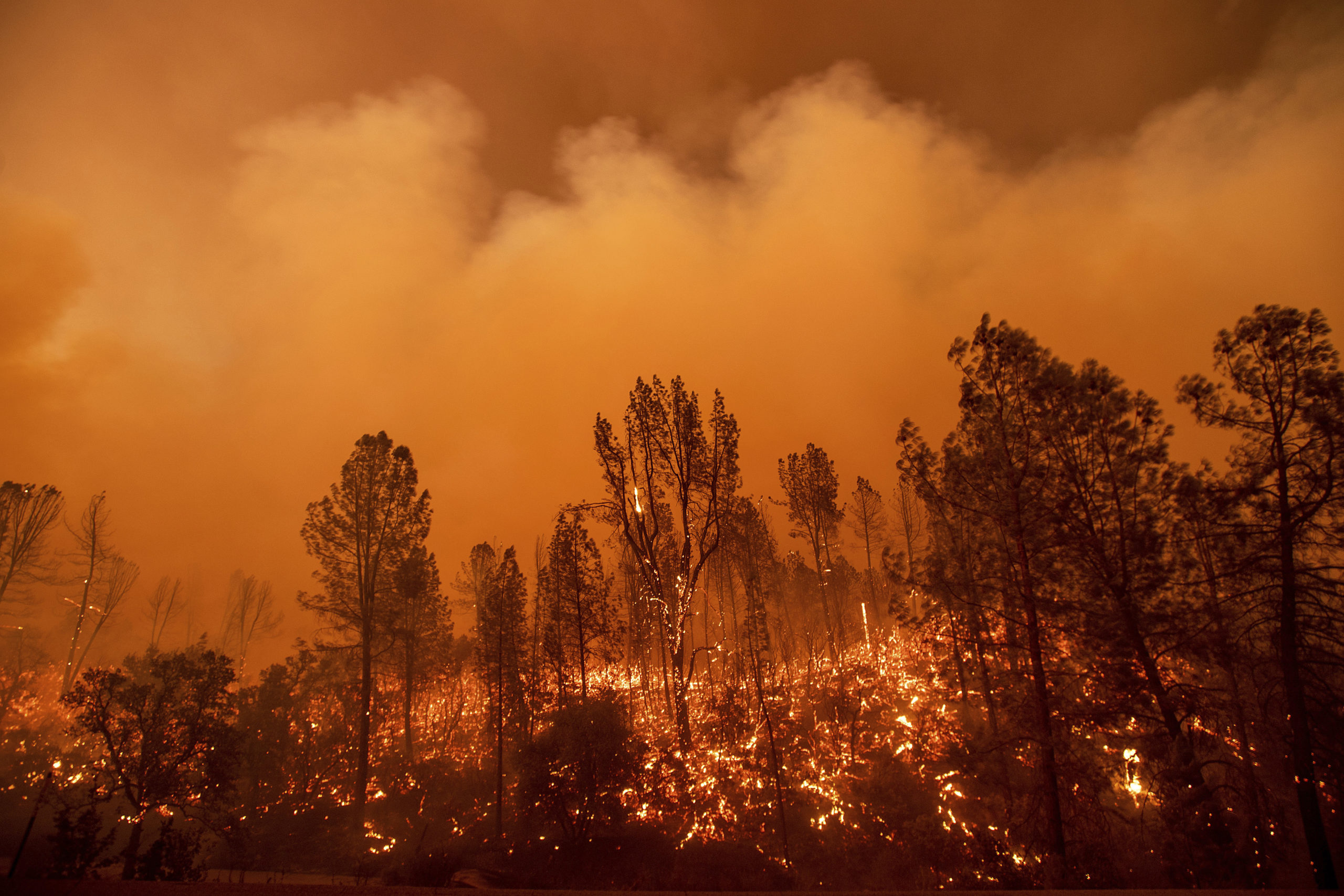 Photo of the Carr Fire