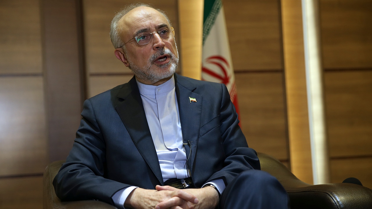 Photo of Iran's nuclear chief Ali Akbar Salehi