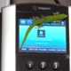 Photo of a gecko on a phone at the center in Kailua Kona, Hawaii