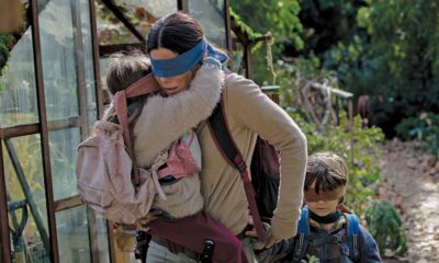 Photo of a still from the movie Bird Box