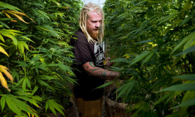 Photo of Steve Fagan, grower and owner of SLOgrown Genetics
