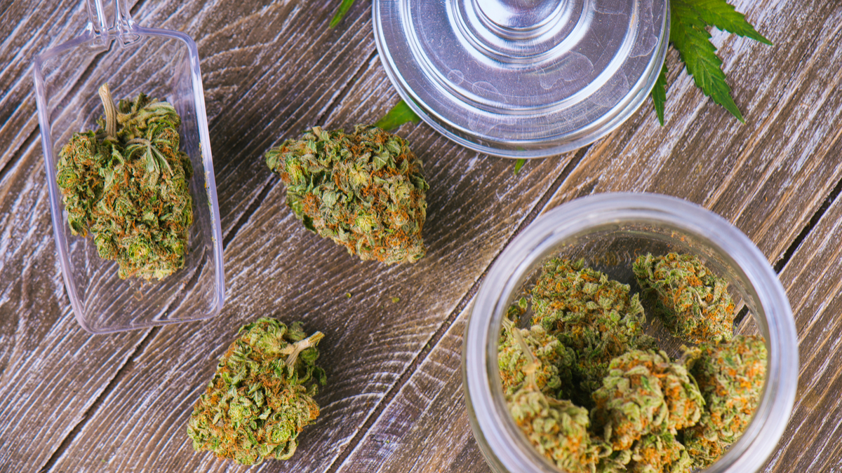 Photo of cannabis buds in glass jars
