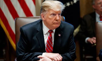 Photo of President Donald Trump
