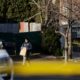 Photo of the scene where an alleged leader of the Gambino crime family was shot and killed