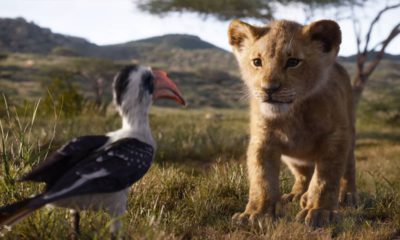 Photo of The Lion King (2019)