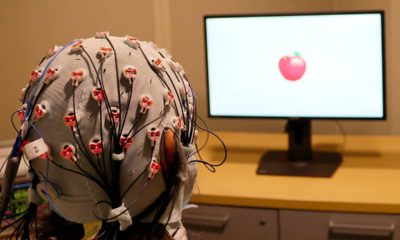 Pjhoto of a cap that administers electrical stimulation and monitors brainwaves