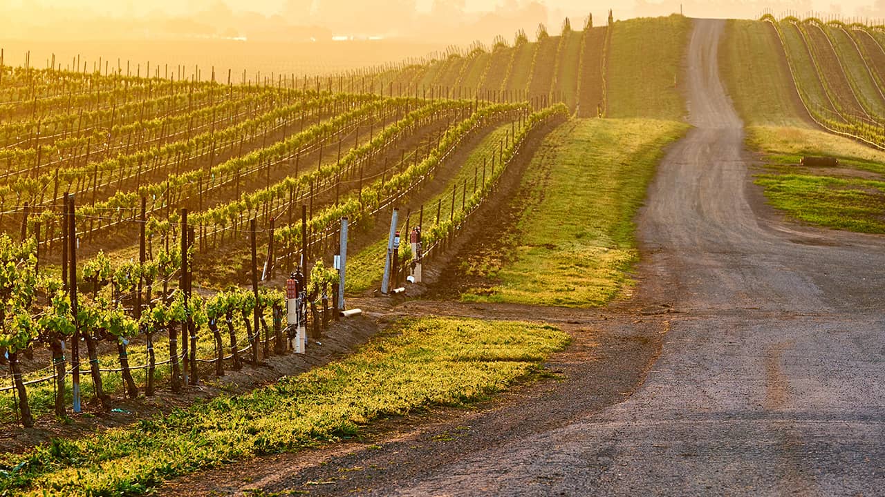 Photo of Napa Valley