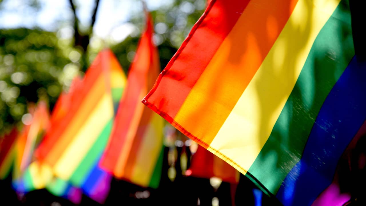 Photo of gay pride flags