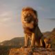 Photo of a scene from "The Lion King"