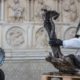 Photo of worker cleaning debris at the Notre Dame Cathedral in Paris