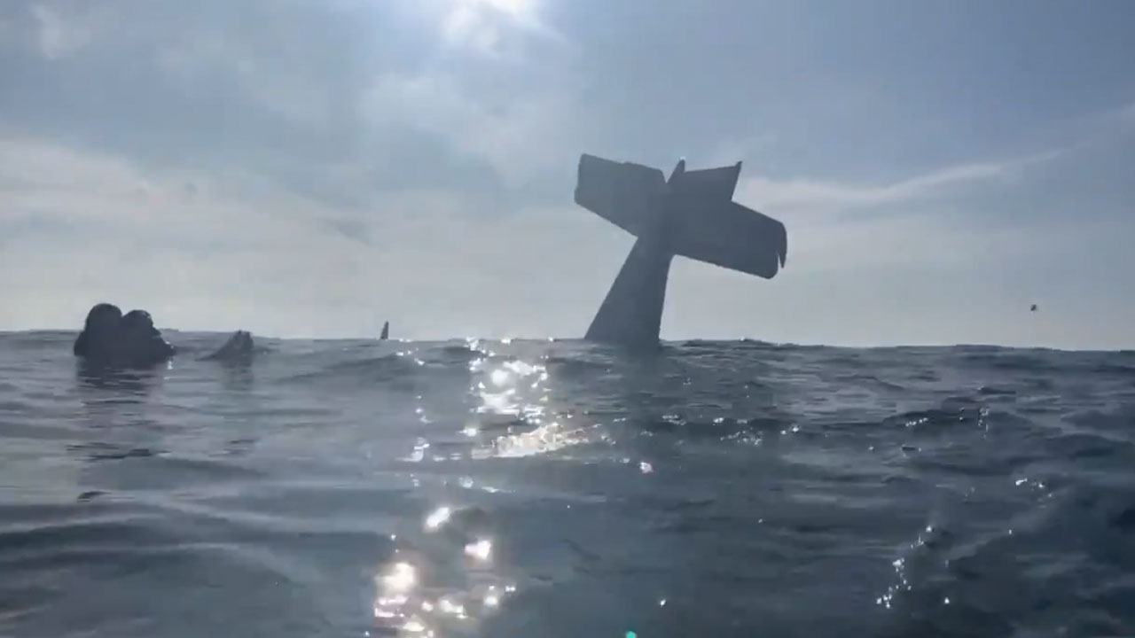 Photo of a plane crash in Half Moon Bay
