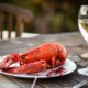 Photo of lobster and wine on a table