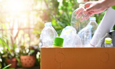 Photo of a person recycling