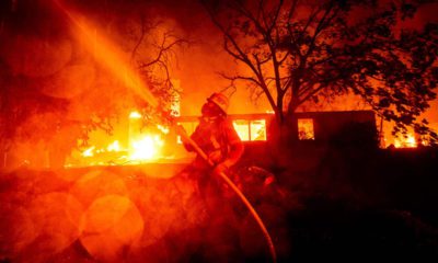 Photo of a firefighter