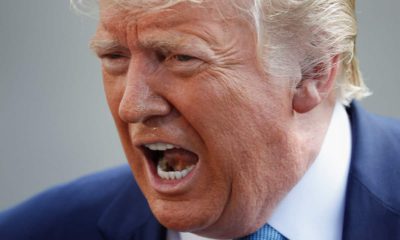 Photo of President Donald Trump