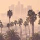 Photo of Los Angeles skyline and palm trees