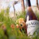 Photo of Psagot wine bottle