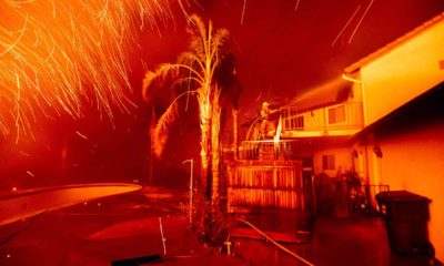 Photo of wildfire