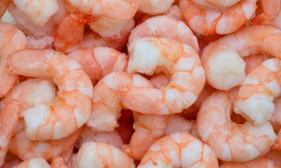 Photo of frozen shrimp