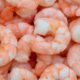 Photo of frozen shrimp