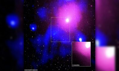Photo of the Ophiuchus galaxy cluster viewed in a composite of X-ray, radio and infrared data