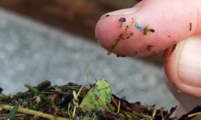 Photo of small pieces of plastic on a person's finger