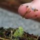 Photo of small pieces of plastic on a person's finger