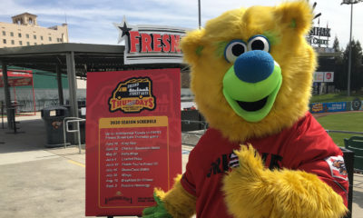 Photo of Parker T. Bear