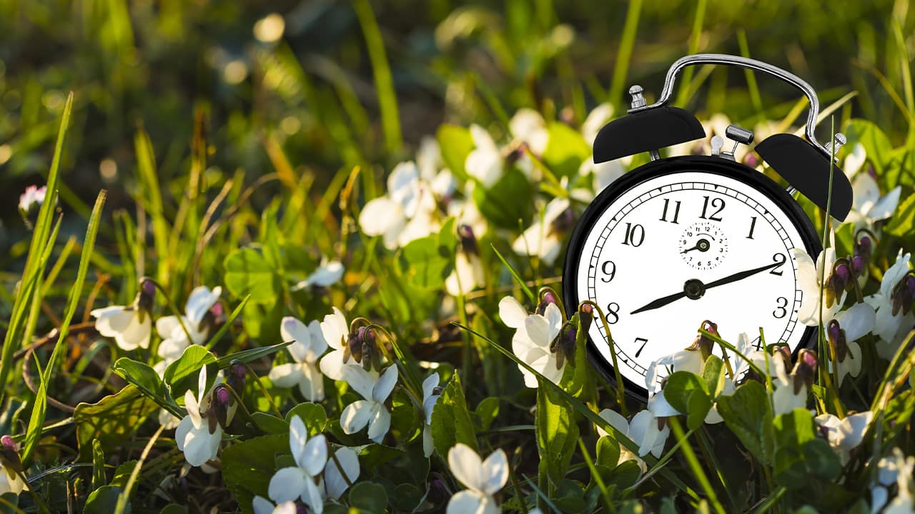 Photo of a clock in the grass