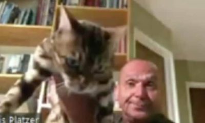Photo of Chris Platzer, a planning commissioner for Vallejo, Calif. holding his cat