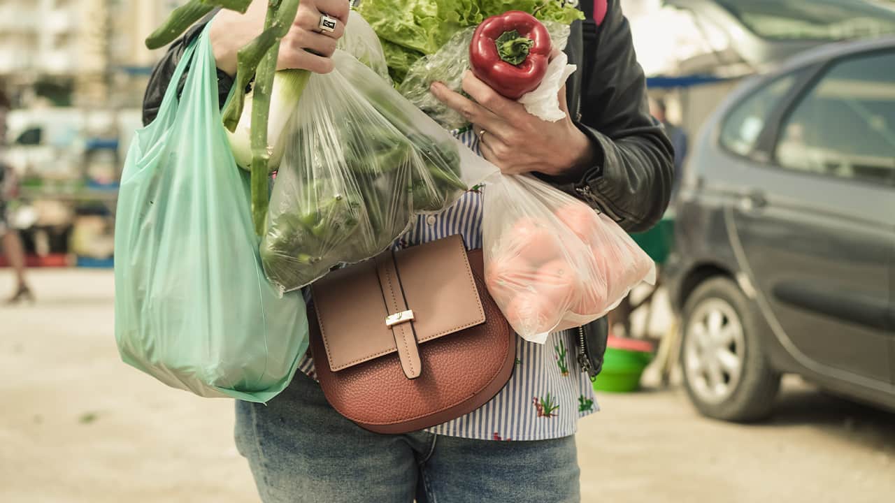 Photo of a woman holding grocery bags