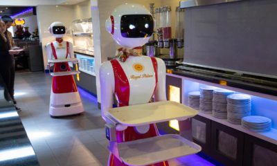 Photo of a robot waiter