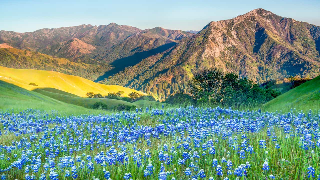 Photo of Big Sur