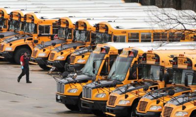 Photo of school buses