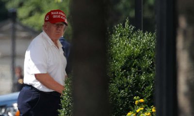 Photo of President Donald Trump