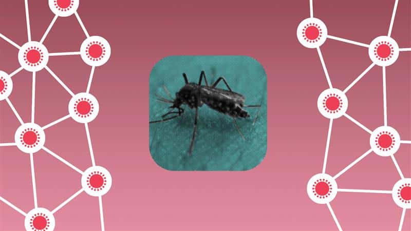 Illustration conveying mosquitoes and disease transmission